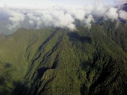 Karpet Hijau dari Bumi Cendrawasih