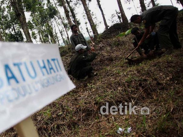 25.000 Pohon Ditanam di Gunung Halimun