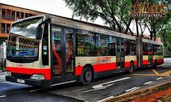 Siapa Mau Jadi Supir Bus di Singapura? Gajinya Rp 23 Juta/Bulan Lho..