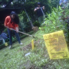 Komunitas Culindra Bidik Taman di Bandung untuk Dikelola