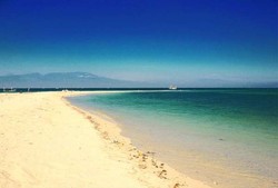 Kisah Kucing Sebesar Kerbau dan Kambing Pemakan Kertas