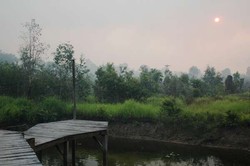 Ada Apa di Ujung Timur Indonesia?