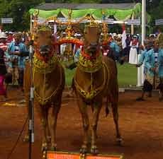Ratusan Warga Pengadilan Gelar Turnamen Tenis Piala Ketua MA