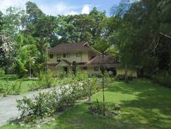 Indahnya, Hunian Ala Luar Negeri Ada di Papua