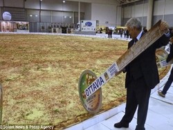 Wow! Italia Bikin Pizza Bebas Gluten Diameter 40 Meter!
