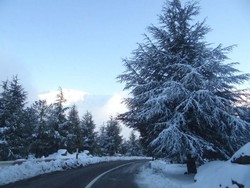 Ternyata, di Afrika Juga Ada Salju!