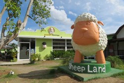  Sheep Land, Wisata Domba dari Susu Sampai Skin Care