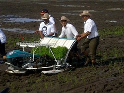 Tanpa Alas Kaki, Dahlan Iskan Nyemplung ke Sawah