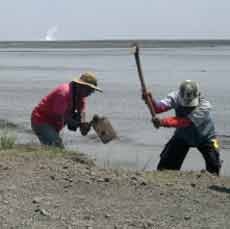 Ganti Rugi Tak Kunjung Dibayar, Korban Lumpur Lapindo Jebol Tanggul