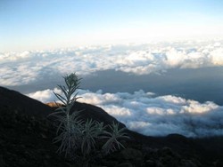 Puncak Tertinggi di Bali Jadi Tempat Bersemayam Para Dewa