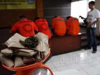 Polisi Ciduk Pengedar Ganja