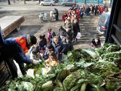 200 Ton Sawi Gratis Dibagikan Pada Warga Miskin China