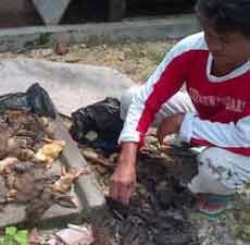 Flu Burung Rambah Jatim, Gubernur Desak Unair Jadi Pusat Riset