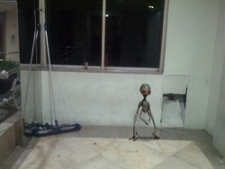 Foto Alien yang Bikin Merinding Warga Taman Yasmin Bogor