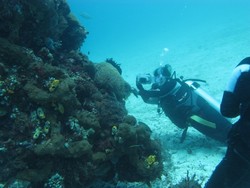 Ini Cara Baru Pamer Keindahan Bawah Laut Indonesia