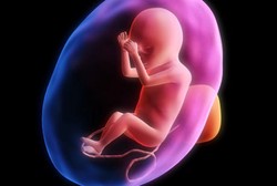 Hah! Ada Plasenta Bayi di Dalam Obat-obatan dan Produk ini