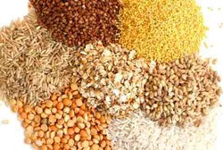 Ini Manfaat Ajaib Biji-bijian: Turunkan Risiko Pradiabetes Hingga 27%