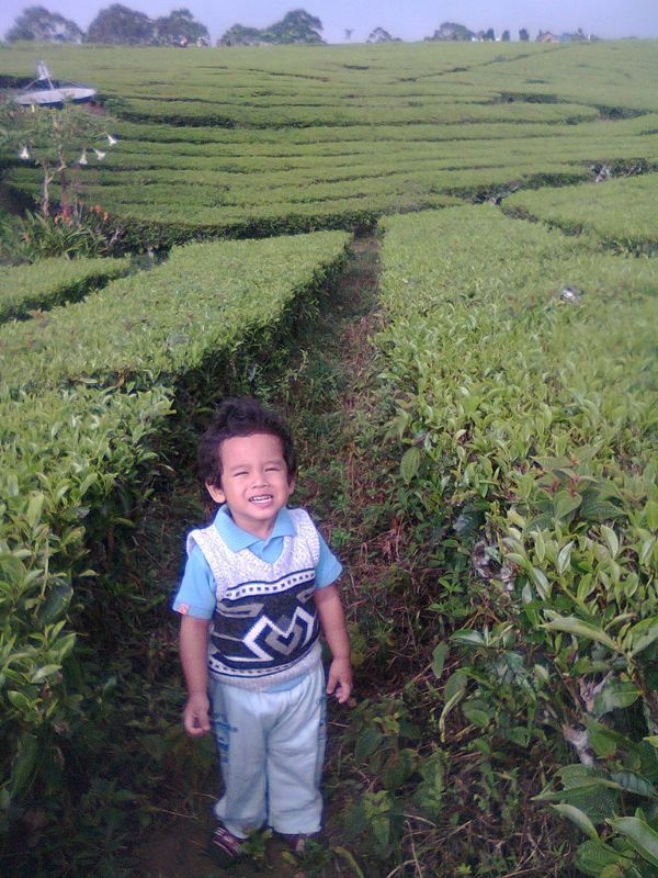 Abdul Ghanivy Putrajulfin, 2,2 Tahun, Lelaki