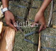 Polda Jatim Raih Ranking 1 Ungkap Kasus Narkoba se-Indonesia