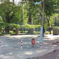 Ayo Jakarta, Jangan Kalah dengan Ho Chi Minh Soal Hutan Kota