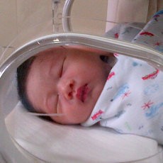 Lucunya.. Ini Dia Airlangga, Putra Ibas dan Aliya