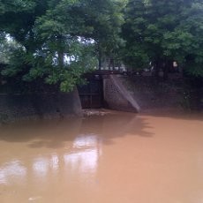 Tunggu Perintah Jokowi, Pintu Air Arah Istana Masih Belum Dibuka