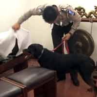 Sterilisasi Gereja di Jember, Tempat Sampah Juga Diperiksa