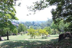 Liburan Hijau dan Segar di Kebun Raya Cibodas