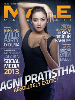 Agni Pratistha Absolutely Exotic!