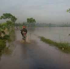 Banjir Bandang Terjang Tuban