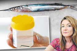 Telinga Tertusuk Ikan Terbang, Turis Australia Nyaris Tuli