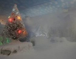 Wow! Libur Natal dan Tahun Baru, Bekasi Bersalju