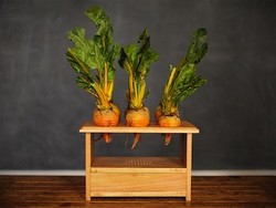 BeetBox, Bit yang Bisa Menghasilkan Nada Musik