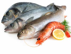 Kontaminasi Merkuri pada Ikan Meningkat di Seluruh Dunia