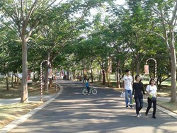 Keren! Jakarta Masih Punya Taman Raksasa Super Nyaman