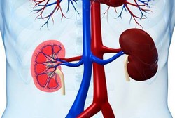 Tahun Baru Bisa Cuci Darah Gratis di RS Puri Indah