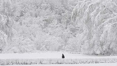 WNI Aman dari Cuaca Dingin Ekstrim di Rusia