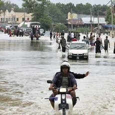 Banjir Malaysia Mulai Surut, Puluhan Ular Ditemukan di Rumah Warga