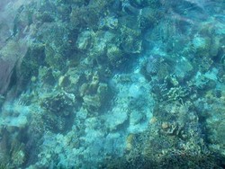 Bunaken, Taman Laut Penuh Warna-warni