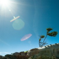 Bagaimana Menghindari Terjadinya Lens Flare?