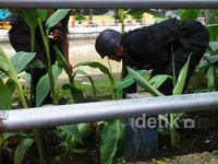 Gegana Evakuasi Granat di Seberang Grand City