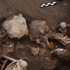 Arkeolog Meksiko Temukan Kerangka Manusia Berusia 800 Tahun