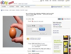 Pria Ini Temukan Telur Bulat Sempurna Seharga Rp. 1,4 Juta