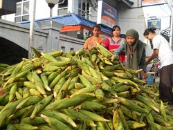 Jelang Malam Tahun Baru, Jagung di Pasar Sentul Yogya Laris Manis
