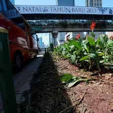 Pasca Pesta Tahun Baru, Taman Median Jl Thamrin Rusak