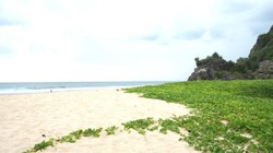 Ssst! Pantai di DI Yogyakarta, Serasa Kuta Saat Masih Perawan