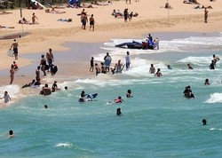 Hati-hati! Hiu Ganas Berkeliaran di Pesisir Sydney