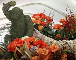 Wah! Ada Simpanse di Parade Bunga Pasadena, AS