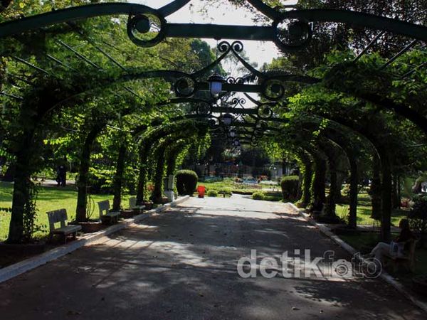 Mencari Kesejukan di Hutan Kota Ho Chi Minh