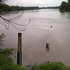 Bojonegoro Siaga 1 Banjir